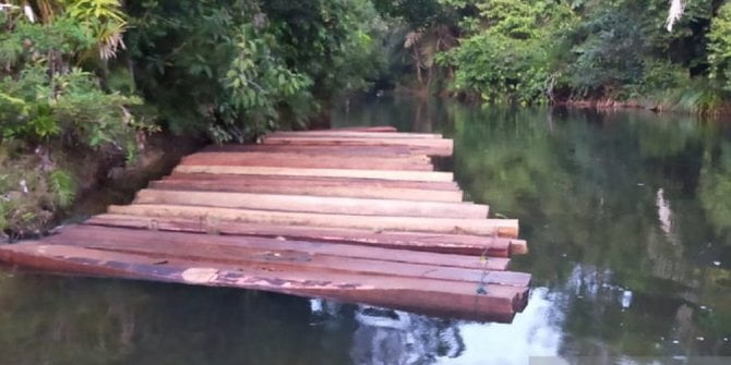 Polisi buru pelaku ilegal logging