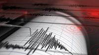 Gempa 4,4 Magnitudo Goyang Kaltara, Dirasakan di Tanjung Selor dan Nunukan