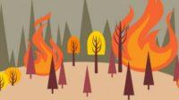 Provinsi Riau Dikepung 91 Titik Api di 6 Kabupaten Kota