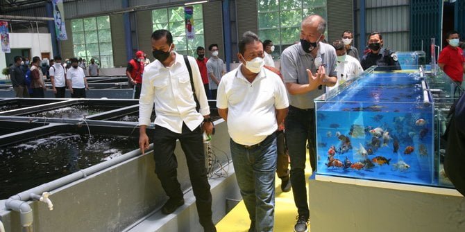 Animo Pasar Ikan Hias Dalam dan Luar Negeri, KKP Resmikan Pusat Koi dan Maskoki di Raiser Cibinong