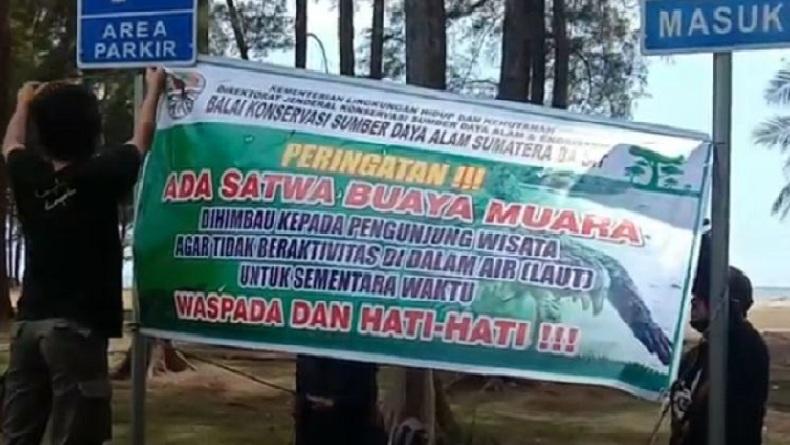 Kemunculan Buaya 2 Meter di Pantai Wisata Tiku Agam, Buat Panik Pengunjung