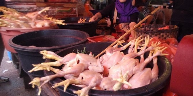 Harga Daging Ayam Naik Drastis di Awal Ramadan