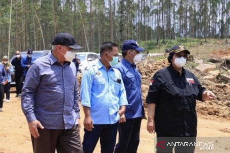 Kementerian LHK Pastikan Penataan Ibu Kota Baru Tak Ganggu Konservasi Hutan Lindung