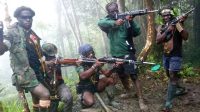 Kronologi Kontak Senjata dengan TNI Puncak Papua, 2 KKB Tewas