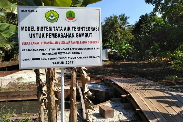 Pemegang Konsesi Belum Optimal Diminta Patuhi Kewajiban Restorasi Gambut