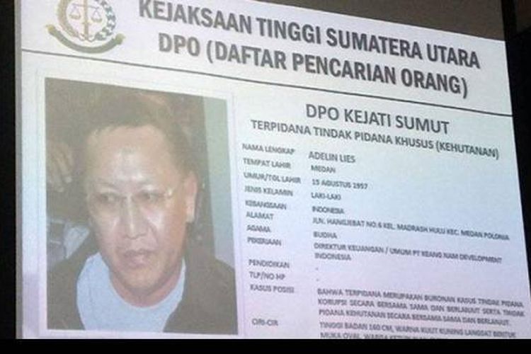 Kejagung Segera Eksekusi Uang Denda dan Pengganti Adelin Lis Sebesar Rp 119 Miliar