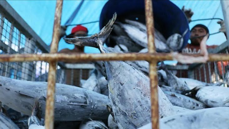 Indonesia Siap Dukung Kebijakan Subsidi Perikanan di WTO