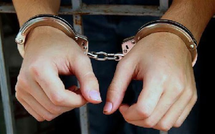 Polisi Bongkar Sindikat Narkoba Paket Makanan Anjing Kalengan Berisi Ribuan Ekstasi