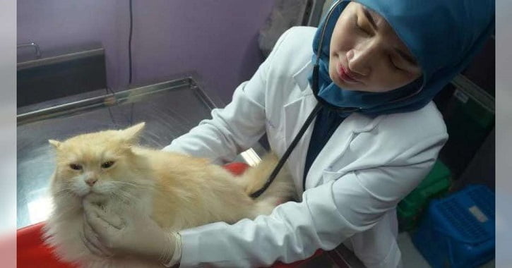 Dinkes Riau Catat Temuan Hewan Penular Rabies 224 ekor pada 2021