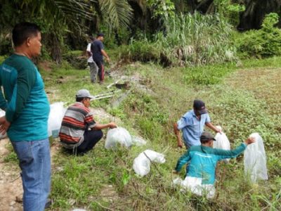 Tingkatkan Ekonomi Nelayan Satu Juta Bibit Ikan Ditebar ke Sungai di Riau