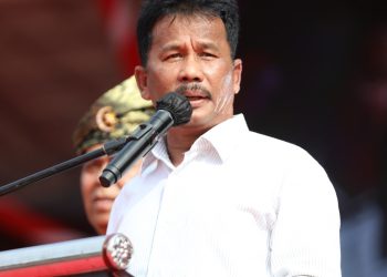 Kepala BP Batam