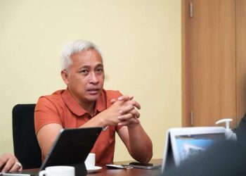 Anggota/Deputi Bidang Pengusahaan BP Batam, Denny Tondano. Foto : Istimewa