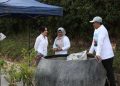 BP Batam melalui Anggota/Deputi Bidang Pelayanan Umum, Ariastuty Sirait, kembali mengecam keras tindakan perusakan puluhan tanaman bugenvil yang terjadi di beberapa titik, Selasa (19/5/2026). Foto : Istimewa