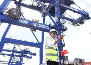 Kepala BP Batam, Amsakar Achmad. (Foto : Ist)